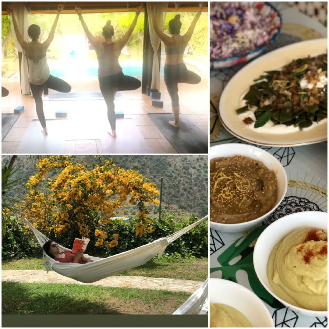 Happy #InternationalYogaDay!
Thank you to #yogawithjuliet for choosing #haciendasolmalaga for her #yogaretreats. Thank you to #ikoiwithhiroe & #casamontesnegros for their contributions!
#namaste #happysummer #lovemalaga #mindfulness #Axarquia #bestclimaineurope