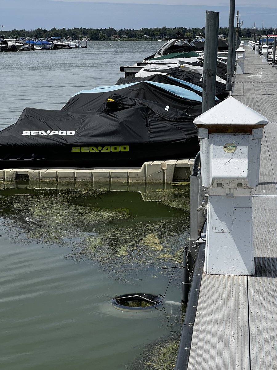 Matthew J. Hoffman (@mattyhoff14) on Twitter photo Two Seabins are now running at Westpoint Marina in Braddock Bay! Looking forward to starting the detailed characterization. <a href="/GLPCleanup/">Great Lakes Plastic Cleanup</a> <a href="/NOAADebris/">NOAA Marine Debris Program</a> <a href="/RITscience/">College of Science at RIT</a> <a href="/RITtigers/">RIT</a> <a href="/achristytyler/">Christy Tyler</a> <a href="/stevendayritbme/">Steven Day</a> <a href="/HudsonLabRIT/">André O. Hudson, PhD</a> Two Seabins are now running at Westpoint Marina in Braddock Bay! Looking forward to starting the detailed characterization. <a href="/GLPCleanup/">Great Lakes Plastic Cleanup</a> <a href="/NOAADebris/">NOAA Marine Debris Program</a> <a href="/RITscience/">College of Science at RIT</a> <a href="/RITtigers/">RIT</a> <a href="/achristytyler/">Christy Tyler</a> <a href="/stevendayritbme/">Steven Day</a> <a href="/HudsonLabRIT/">André O. Hudson, PhD</a>