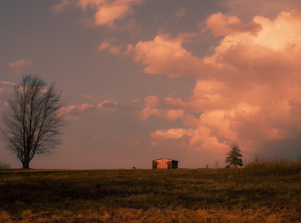 jaz tweet media