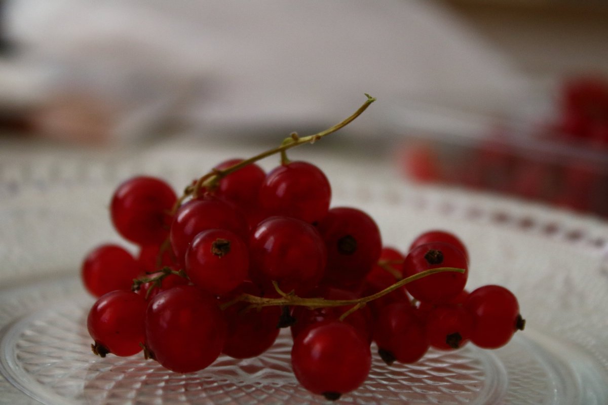 Biborrena's tweet photo. #fruits #redberry Piros Ribizli https://t.co/5CIgEhhdI1