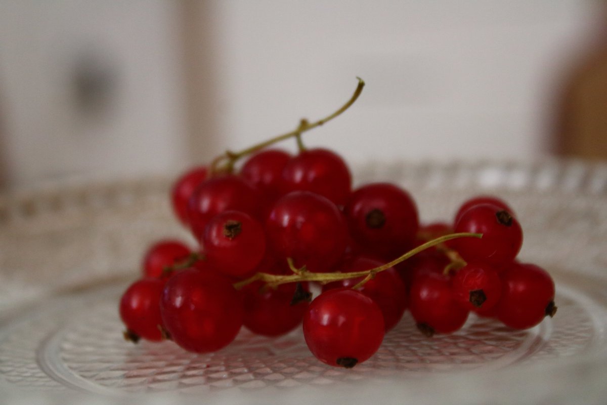 Biborrena's tweet photo. #fruits #redberry Piros Ribizli https://t.co/5CIgEhhdI1