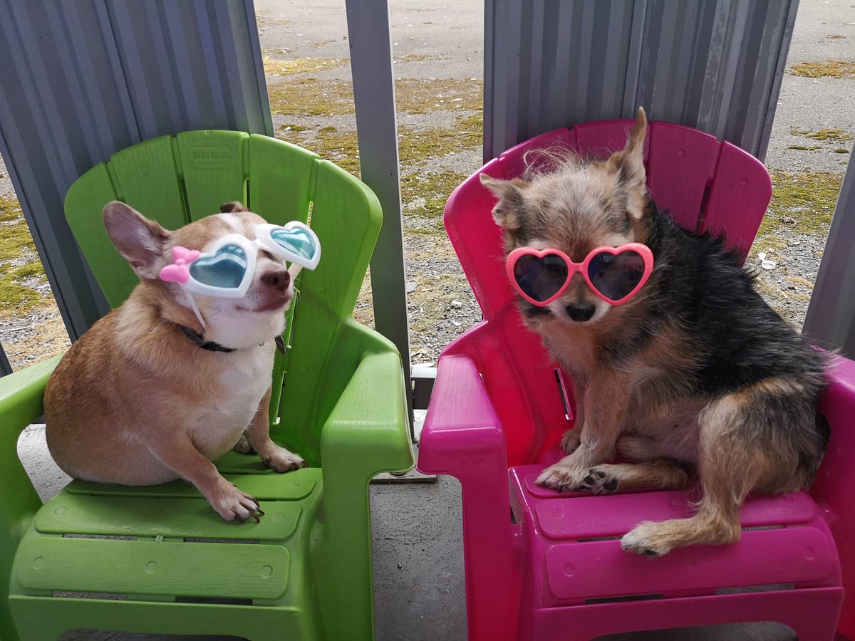 jtpetsca's tweet photo. Happy First Day of Summer! https://t.co/ynaIMep3bl