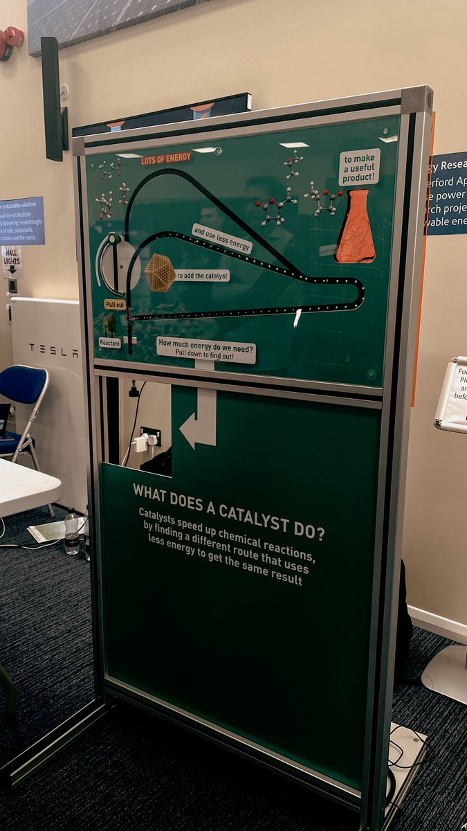 Anastasia Zaleska tweet media