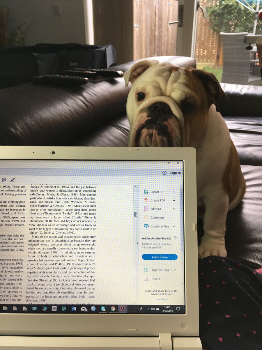 JoElizaHunt's tweet photo. @BabakNSafa Ha that's brilliant - I often think the same thing! My boy Chaucer has been living up to his name as a literary giant since he was a pup 😅 #DogsOfAcademia #dogsoftwitter #Bulldogs https://t.co/rPeRwQpqIM