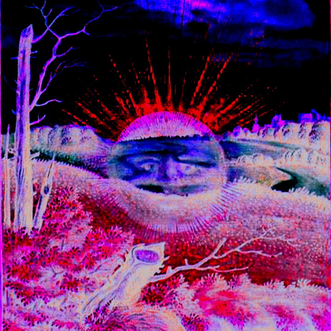 Star & Shadow Cinema tweet media