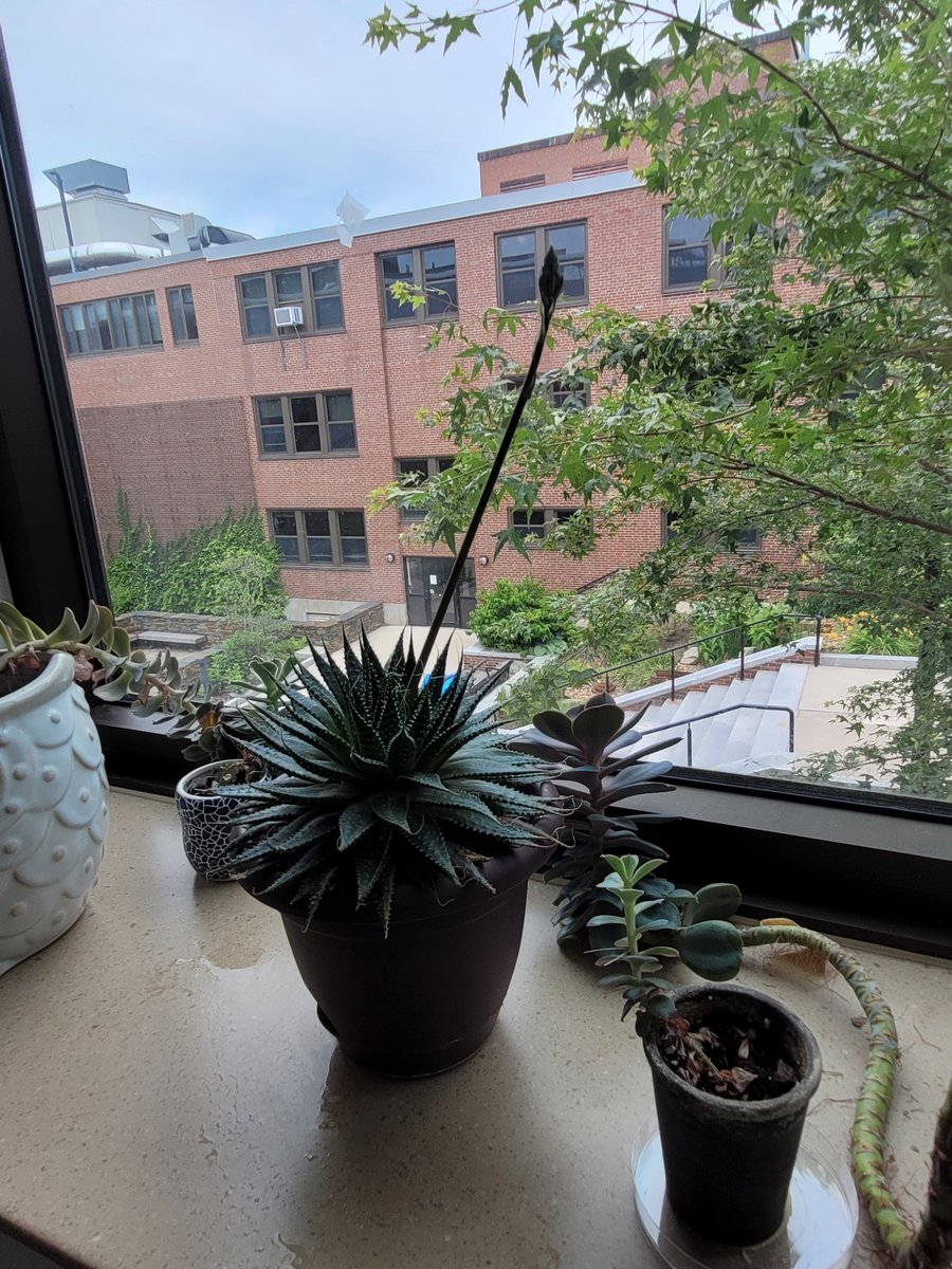 Michelle Facette tweet media