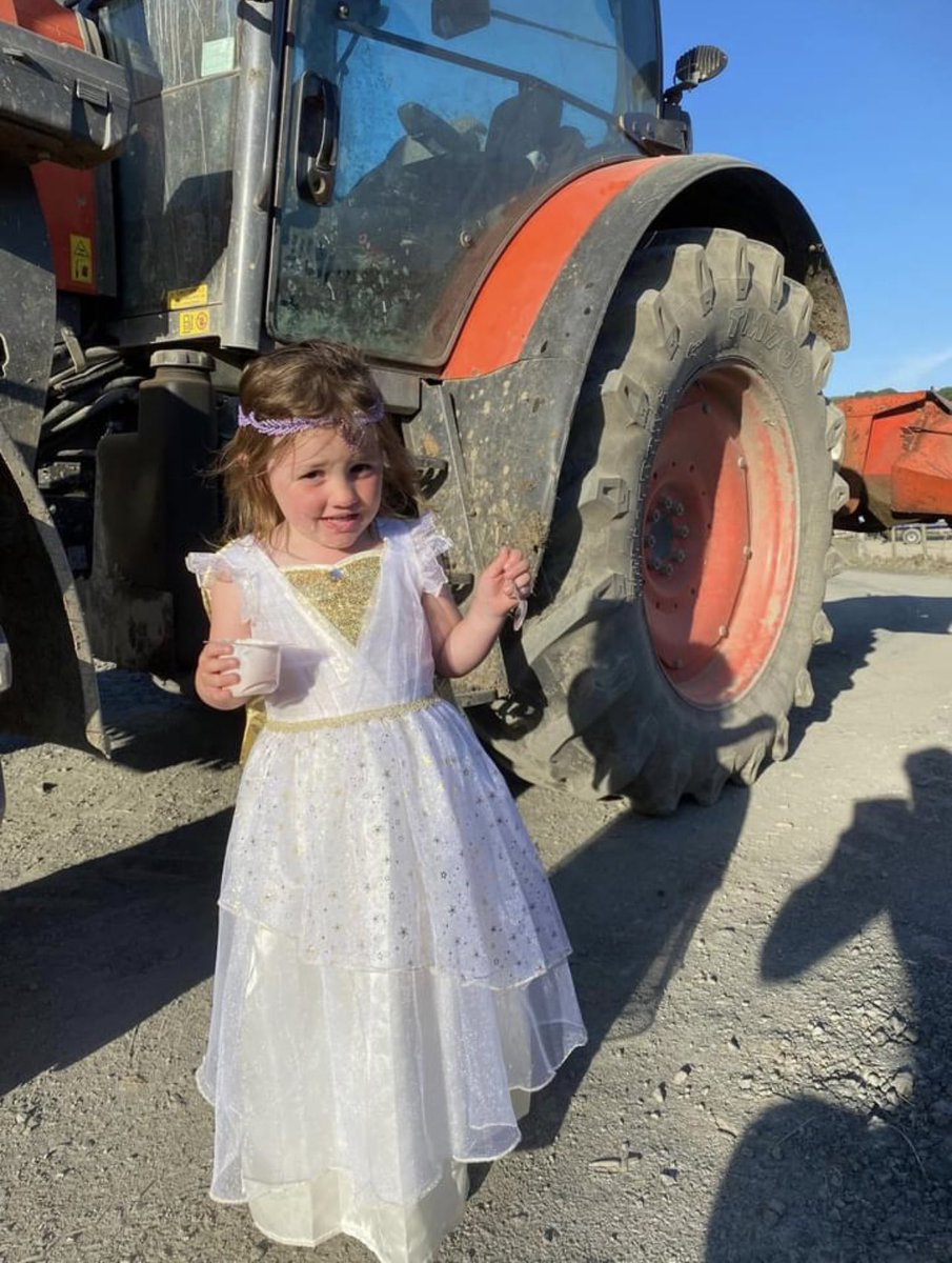 Apparently ,this is how all princesses must dress when off to mow.. 🙈