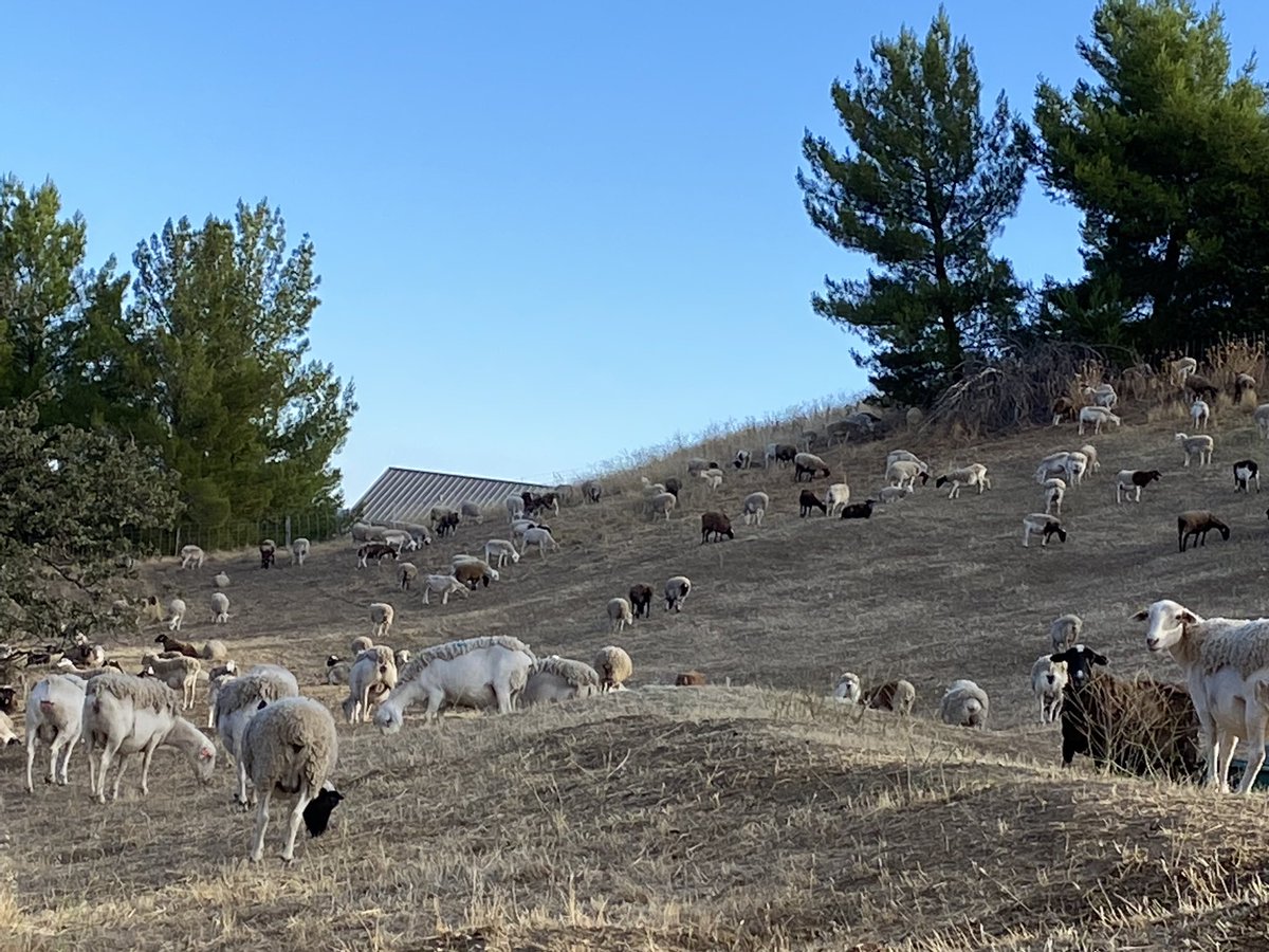 Kyle Jones tweet media