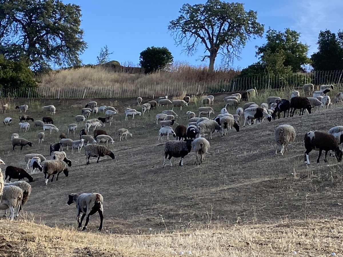 Kyle Jones tweet media