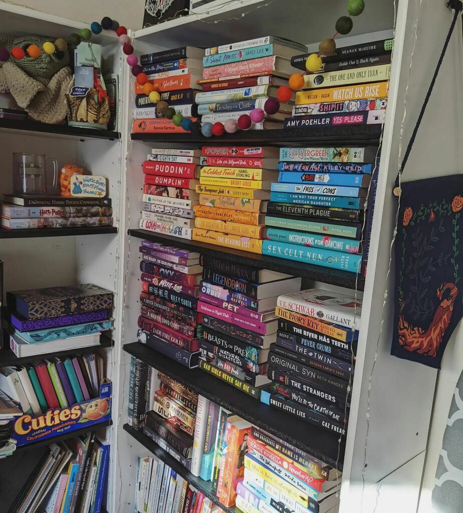AnneAWelker's tweet photo. TBR shelf is taking over. I feel like Hercules and the hydra... except I'm not fighting that hard. 😅 https://t.co/EpJ5sMBalD https://t.co/sA2Rt5e2nd
