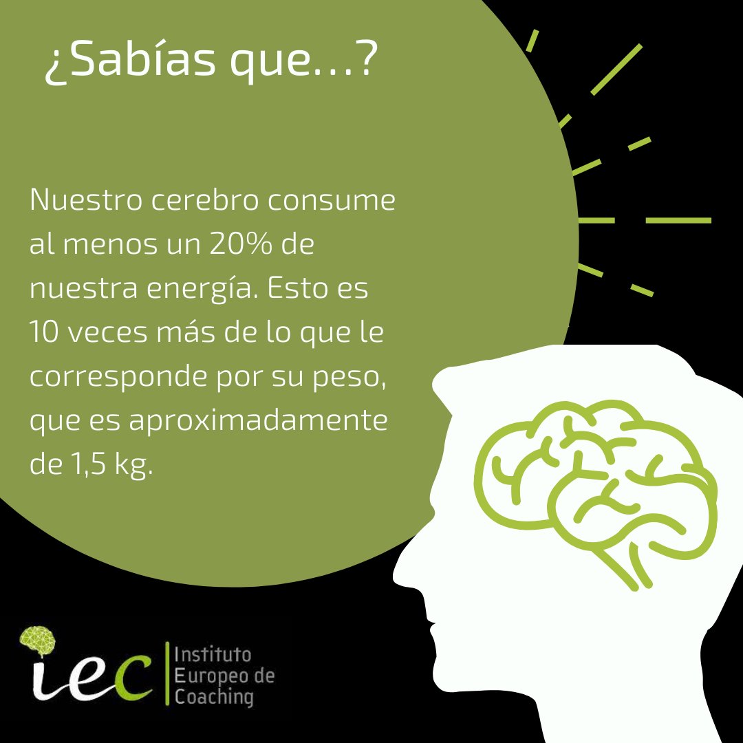 IECCoaching tweet media