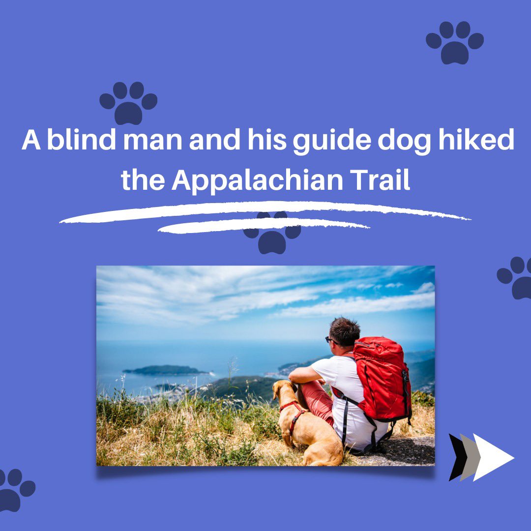 ecopuppyUS's tweet photo. 4 Most amazing fact about dog, you may not know about. @ecopuppyUS #basenji #santamonica #DogsOnTwitter #dogsoftwitter #doggy #CaliforniaAdventure #puppytraining #puppylove #Puppies #biodegradable #ecofriendly #SaveEarth #beverlyhills #compost #TheBeatles #appalachian #Titanic https://t.co/4HDVkuMKiX