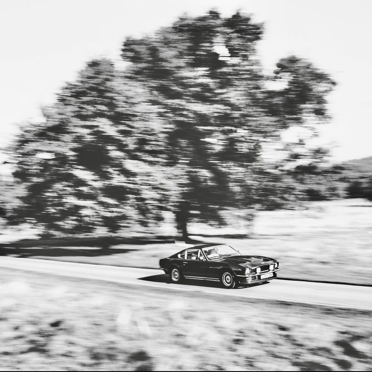 1980 ASTON MARTIN V8 VANTAGE
#astonmartin #vantage #astonmartinv8