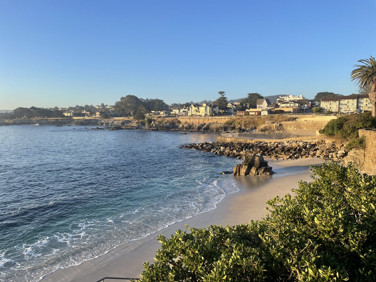 marion leclerc tweet media