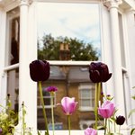 Photo by Wandsworth Sash Windows (@Sash_Windows1)