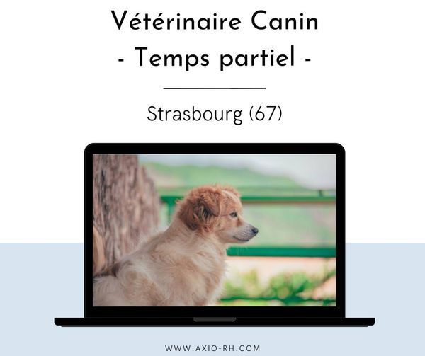 RhAxio's tweet image. [Offre d'emploi à Strasbourg (67)]  
 Une belle clinique vétérinaire recherche un(e) vétérinaire canin à temps partiel - 2.5 jours par semaine, ou plus !  
 Retrouvez toutes les infos dans l'annonce : bit.ly/3AYtg0l
N'hésitez pas à partager l'offre !