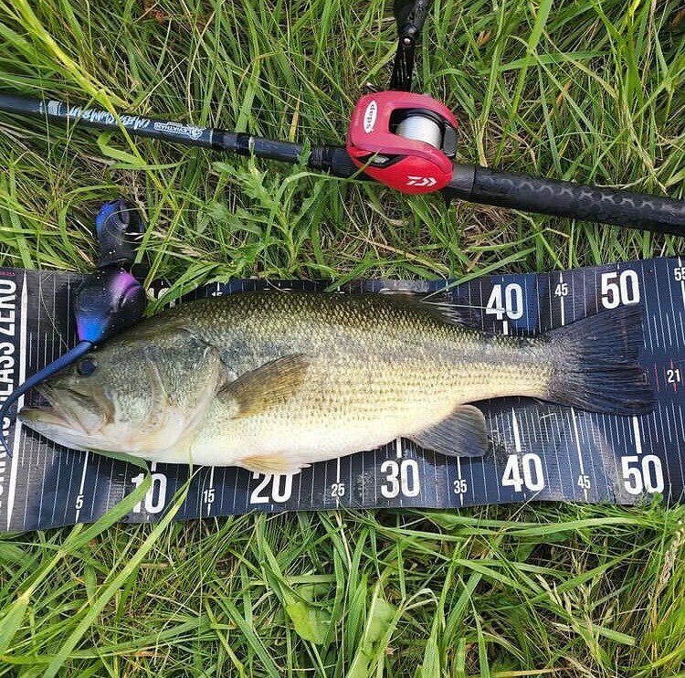 LeviathanRods's tweet photo. Sometimes you just have to tie on the rat! ๐ญ๐ชค @rodchris connected with this chunk on a very spacy @illudebaits ๐๐ tied to his Omega Swimbait rod. What is your favorite rat to throw??
.
.
๐ https://t.co/GseK6wgPR5 ๐
.
.
.
.
#leviathanrods #swimbaโฆ https://t.co/hUb9dsYNhQ https://t.co/qo2xlpDk4w