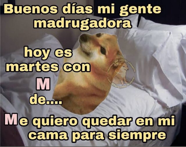 TW Estrellas porno gente madrugadora TW Estrellas porno