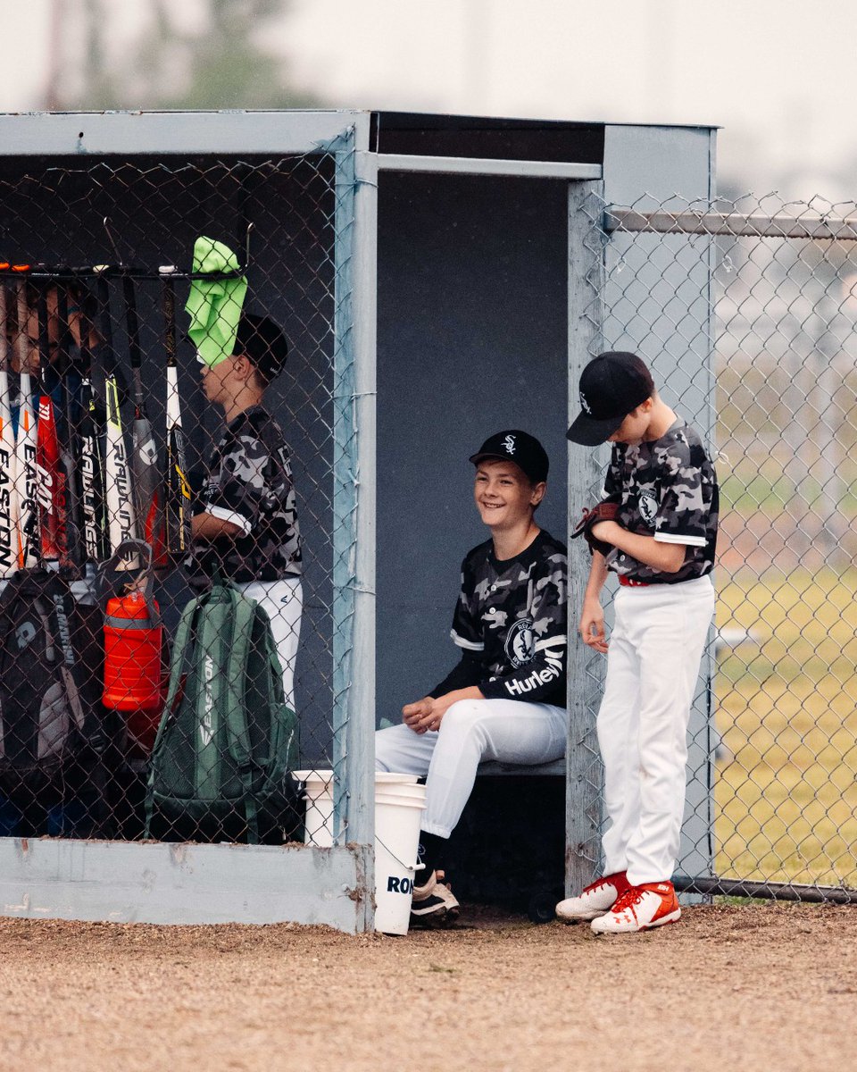 Baseball Regina tweet media