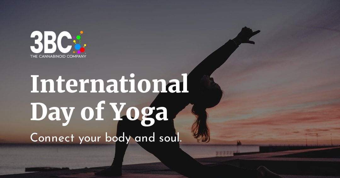 3BC_Cannabinoid's tweet photo. The benefits of yoga, like cannabis, goes back centuries.  

https://t.co/06SoOQAIDP

https://t.co/c7OYHpuUZd https://t.co/nJkdsPBh1o