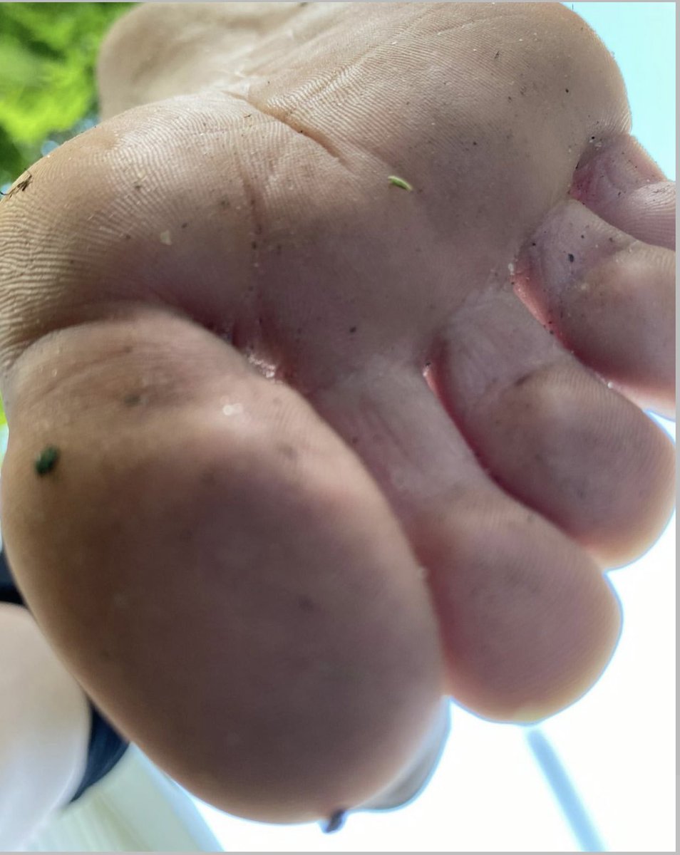 tinytoesxo's tweet photo. Look out tiny 👣🤭 #feetworship #feetpicsforsales #feetfinder #feetnation #feetِ #soles #toesoutside #dirtyfeet #toeslovers #footslaves  #feet_worship https://t.co/1h7faB0PX5