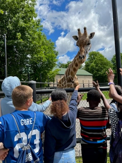 NiagaraRaft's tweet photo. The RAFT would like to say a big thank you to all of our participants, staff and supporters who helped make After School Matters a success again this year! 

We hope you have a wonderful summer and we look forward to seeing everyone back again in September! https://t.co/debUYgv5aa