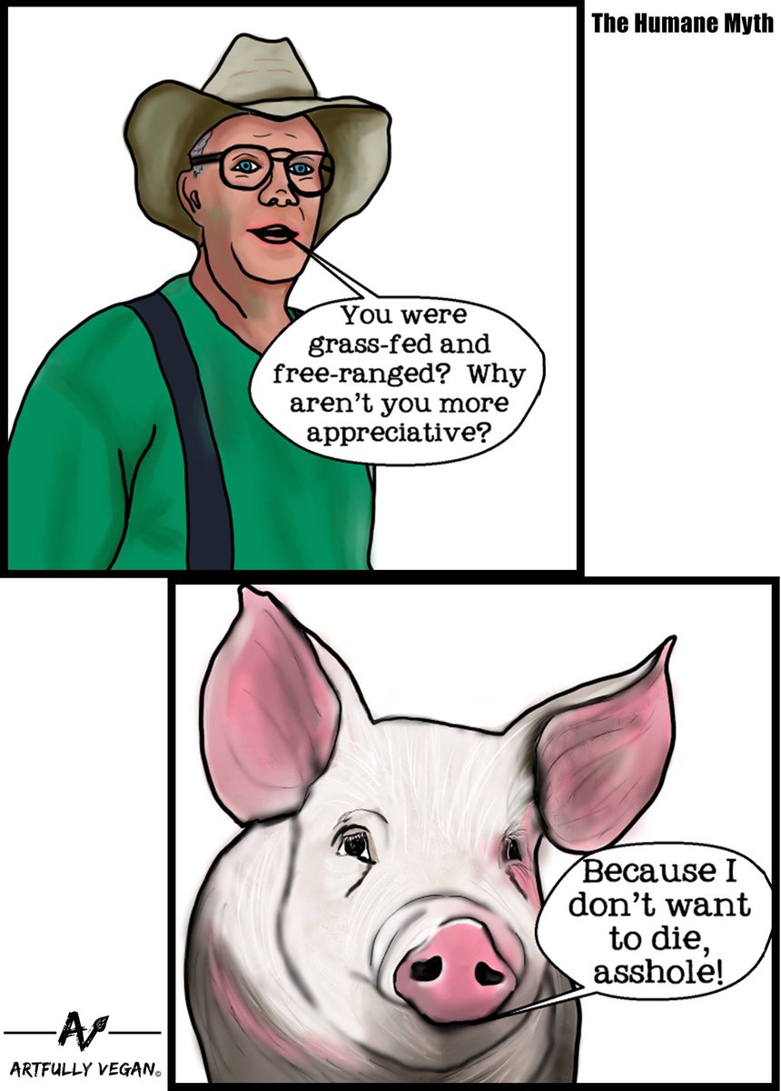 LifewithPigs's tweet photo. The humane myth: #humanelyraised #humanehoax #humanemyth https://t.co/ZQ7pJxCHIm