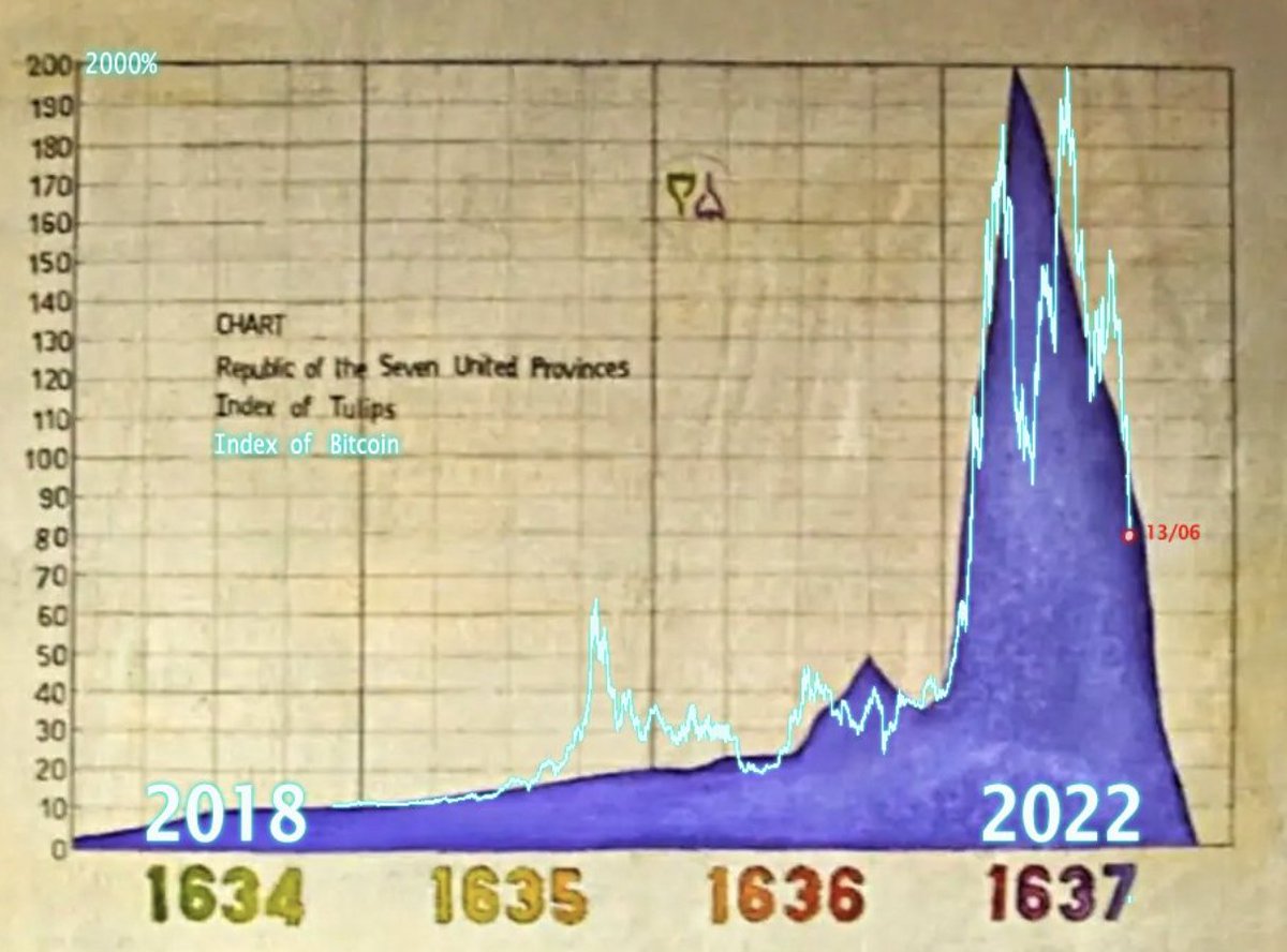 Tx_Rx's tweet photo. Tulipomania y otros descalabros de la bolsa similares. #BitcoinCrash https://t.co/RGlkZskyGD