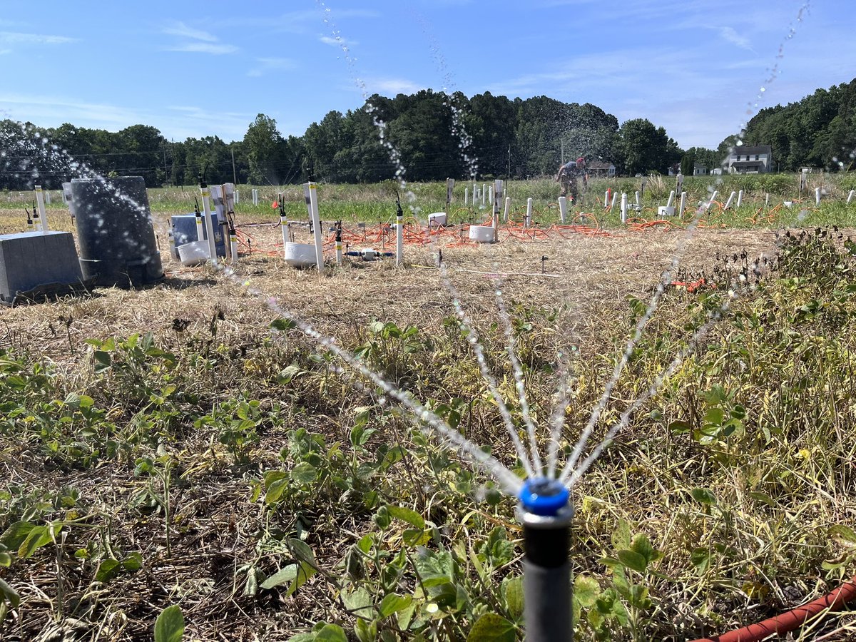 Lauren Mosesso, PhD tweet media