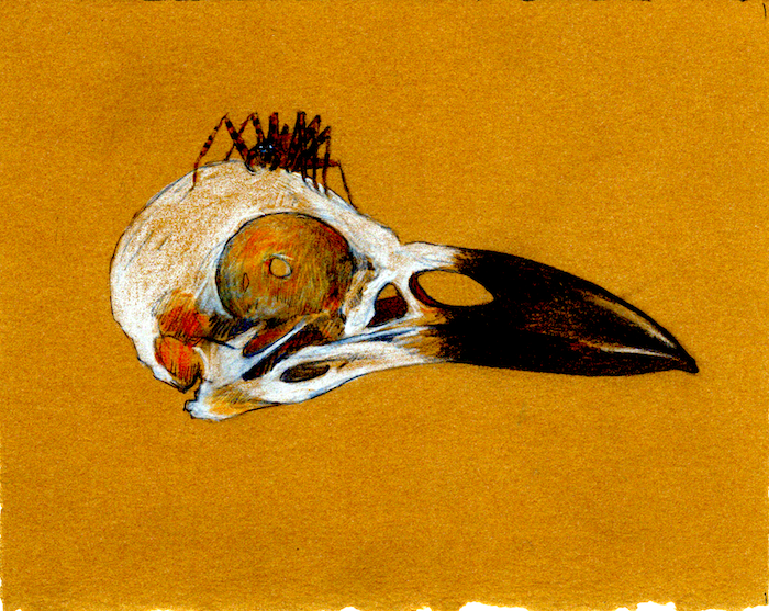 RUST and ~moth~ tweet media