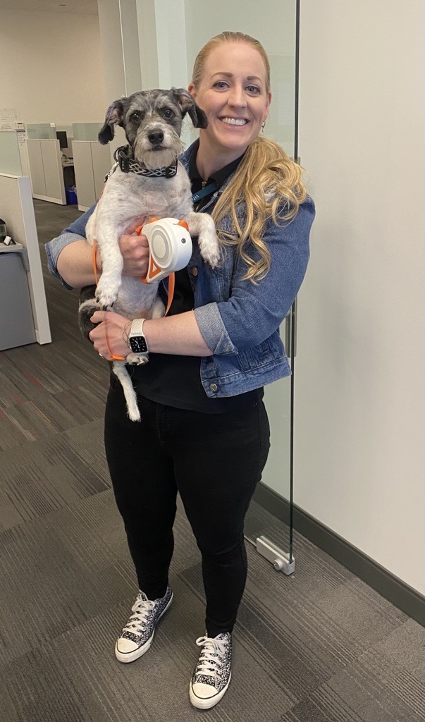 ViticusGroup_AH's tweet image. Shoutout to #TakeYourPetstoWorkWeek! Check out CFO Stephanie &amp;amp; 5yo Scrappy, a fur baby she adopted at 10 weeks old from @animalfndlv Wish you worked here?! Yeah, us too! Open jobs at hubs.la/Q01f47HS0