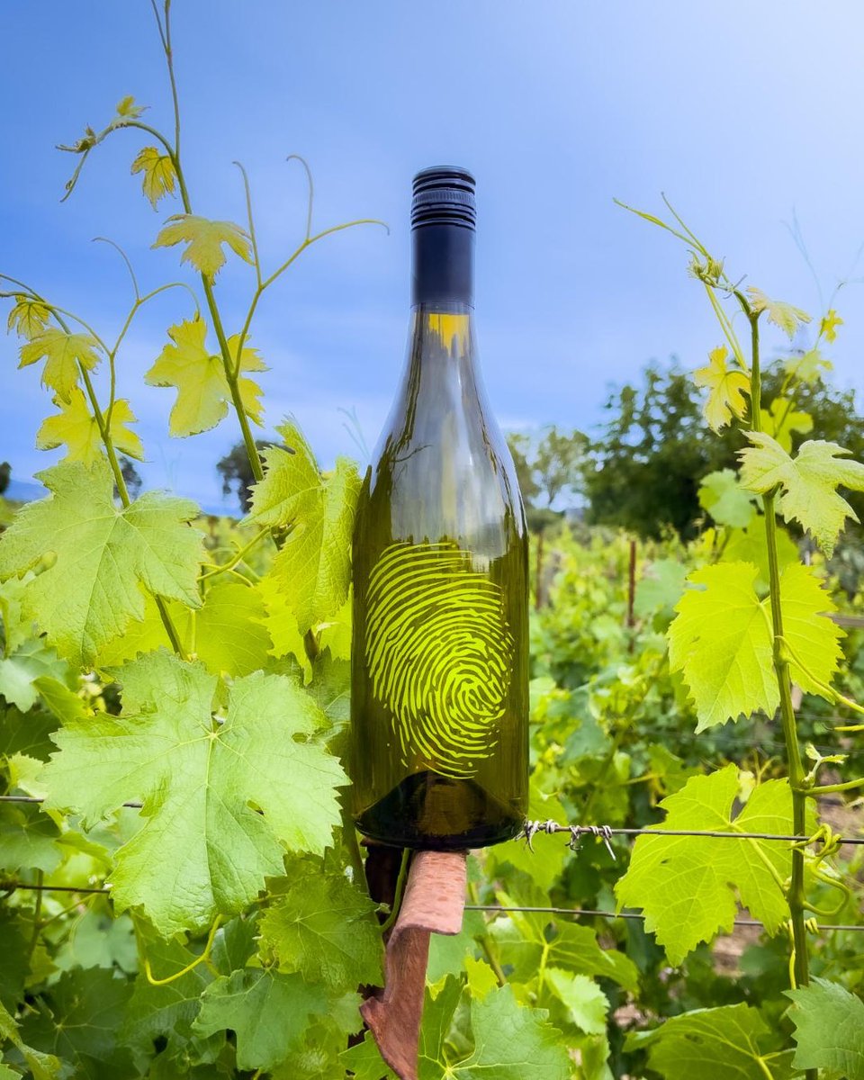 thumbprint cellars tweet media