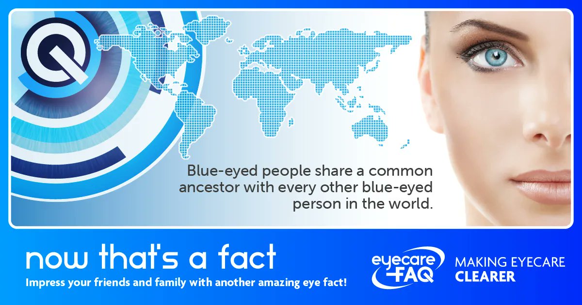 Did you know?.....

#Eyeface #EyecareFAQ