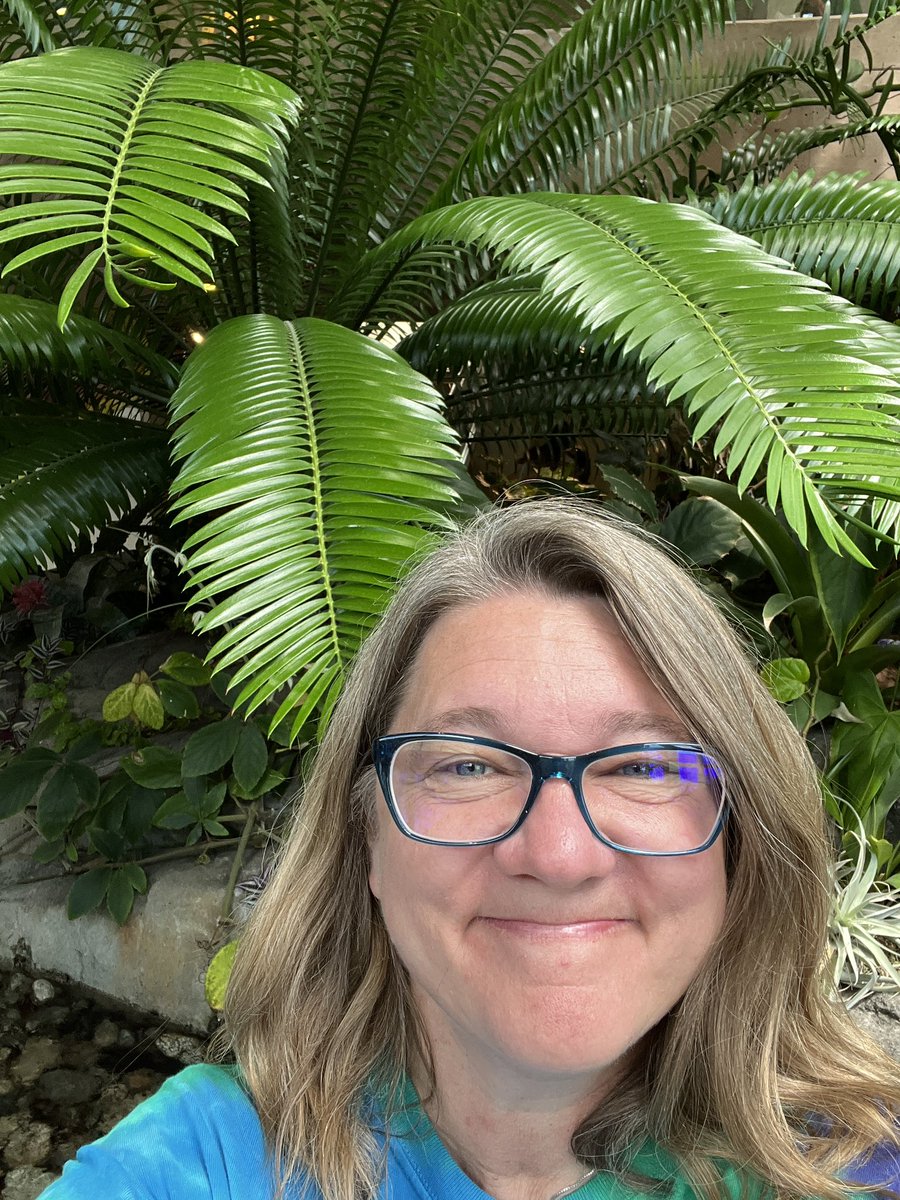 Angie Schauer tweet media