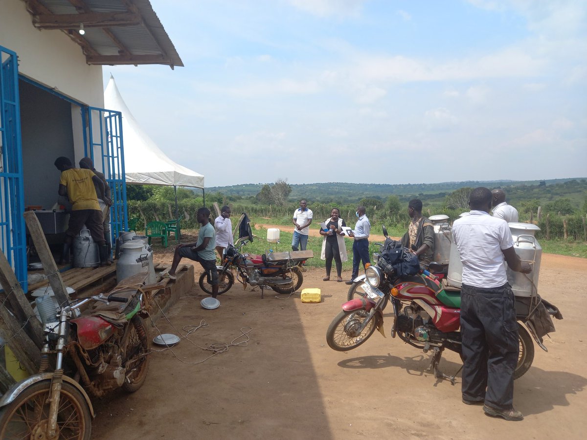 Innovation happening in remote areas of Uganda: An off-grid dairy cooperative shifting from diesel to solar power for chilling milk. Very encouraging to see this initiative supported by @IKEAFoundation through the Sustainable Energy for Smallholder Farmers project.