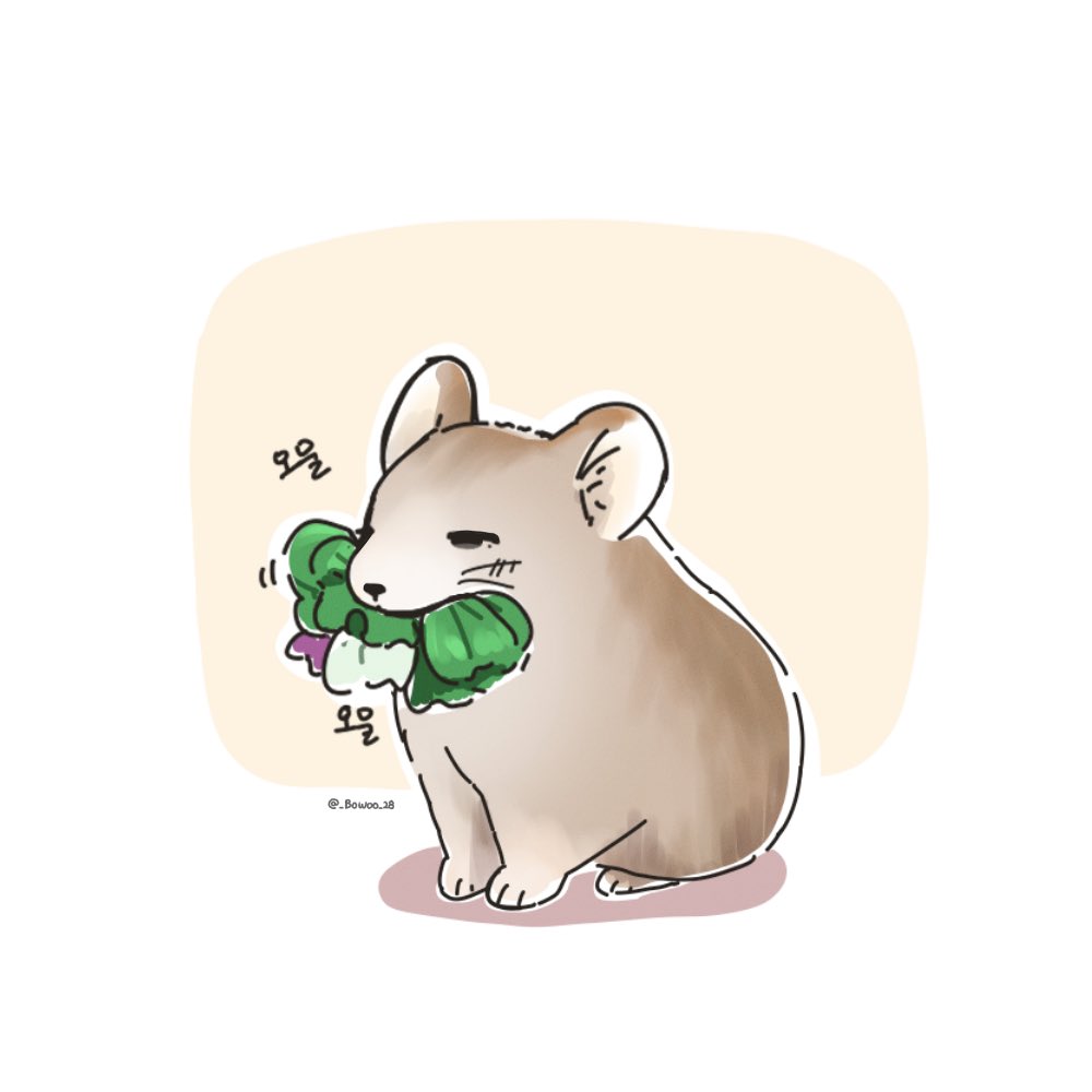 넘 귀엽다 피카우지...