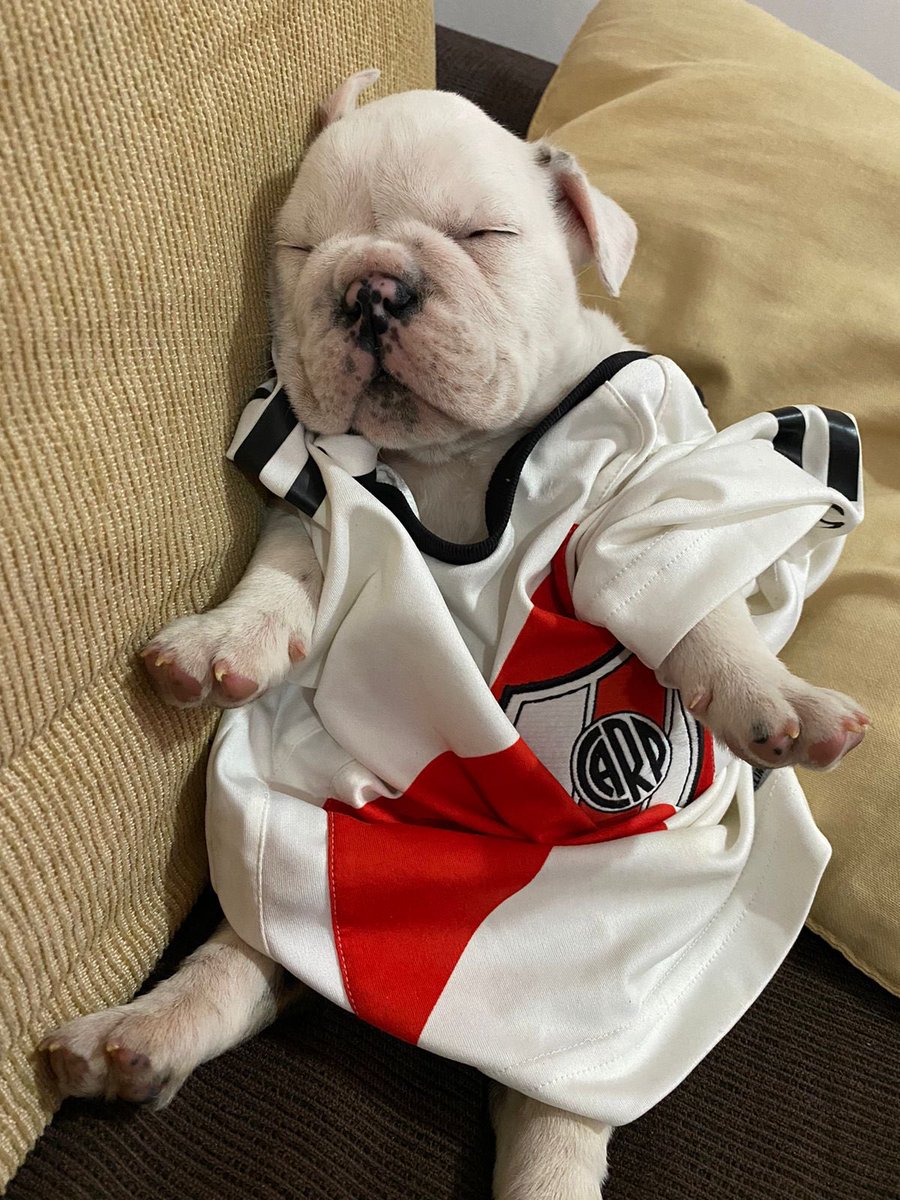 En casa somos todos de River o nada 🤍❤️🤍