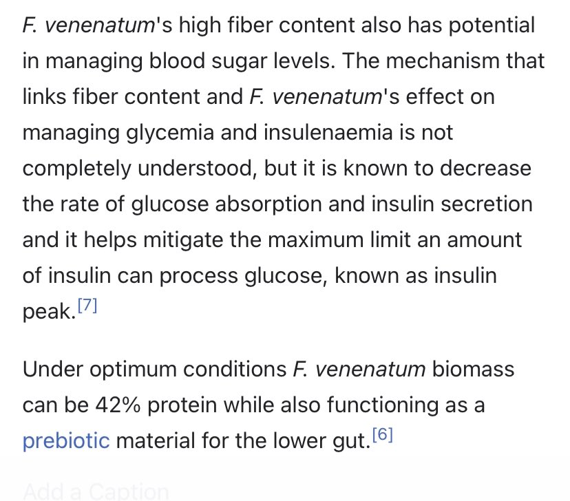 Been expanding my vegan game and mycoprotein seems like one of the more sustainable options. Quorn products look pretty tasty and I might have to explore growing my own soon