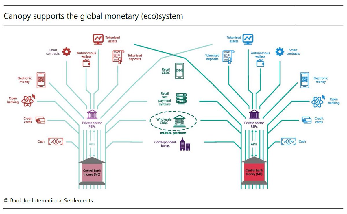 BIS_org's tweet photo. The domestic monetary system is like a tree with the central banks as the solid trunk supporting a rich and diverse ecosystem. The global monetary system is a healthy forest whose canopy facilitates cross-border transactions #BISAnnualEconReport https://t.co/Bd9S2v9a3x https://t.co/eOq8yftiMq