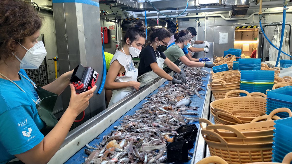 fingon1982's tweet photo. Primer día de la campaña #MEDITS2022 #GSA5 #Mallorca #Menorca del @IEOoceanografia @ieo_baleares terminado. Todo va viento en popa. ⛴️🐟🐙🦐 https://t.co/ACl15a3BLN