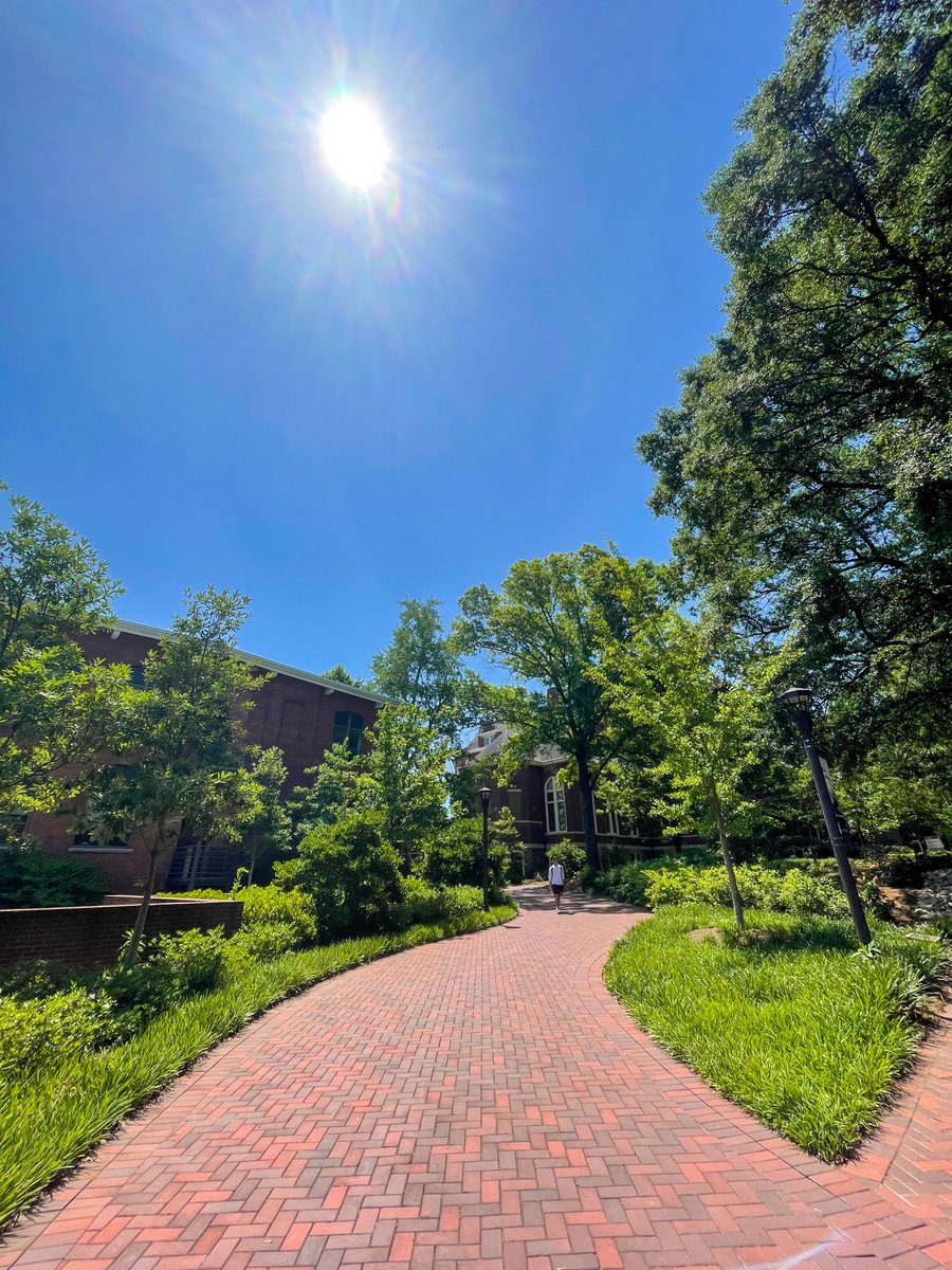 GeorgiaTech's tweet photo. Enjoy the longest day of the year wherever you are, Yellow Jackets ☀️🐝 #SummerSolstice https://t.co/Sh4s18prMq