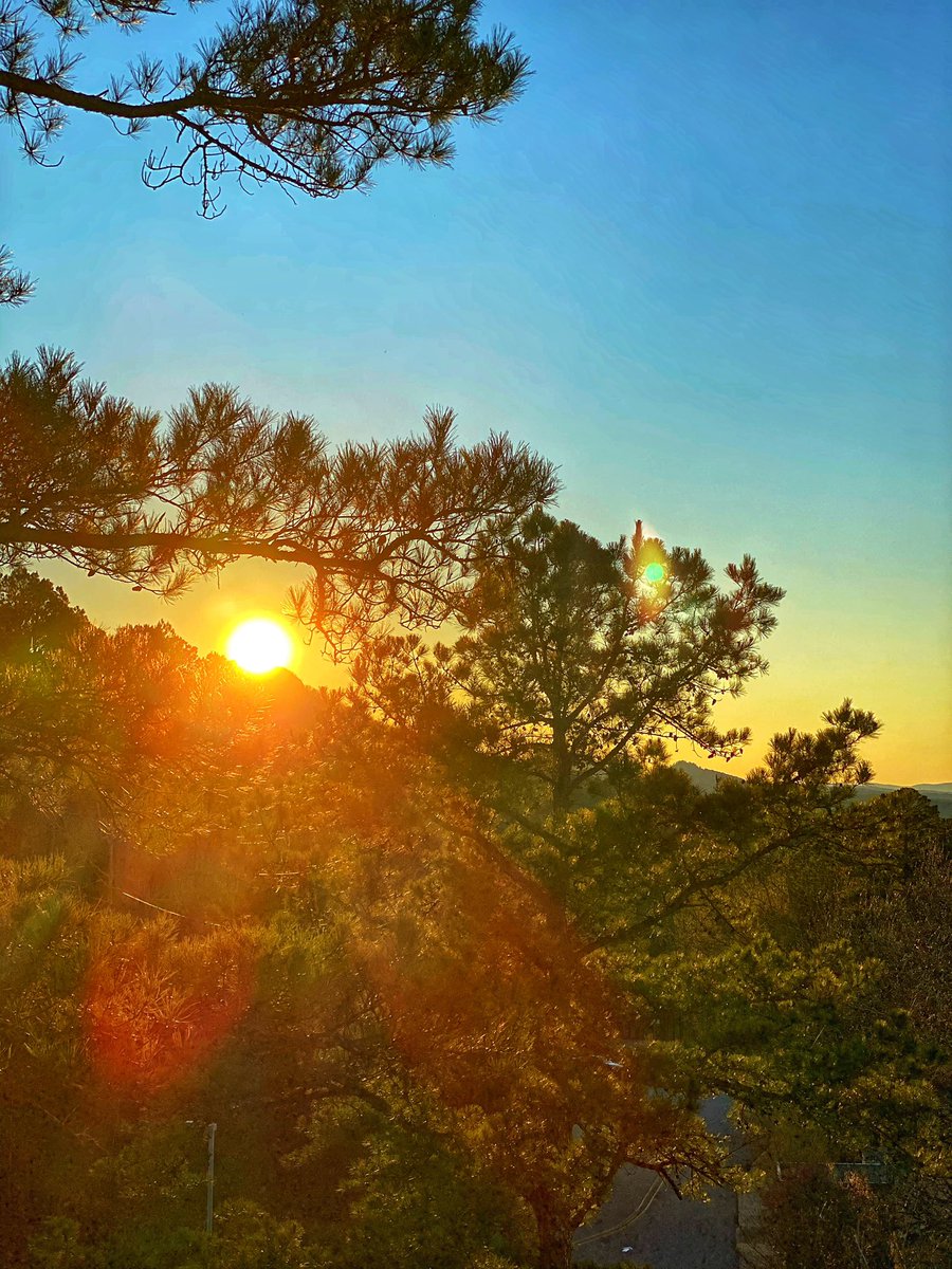 EasyKillerPhoto's tweet photo. Here are some more that I captured awhile back, tell me what y’all think😁 https://t.co/LhT8tfT6nh