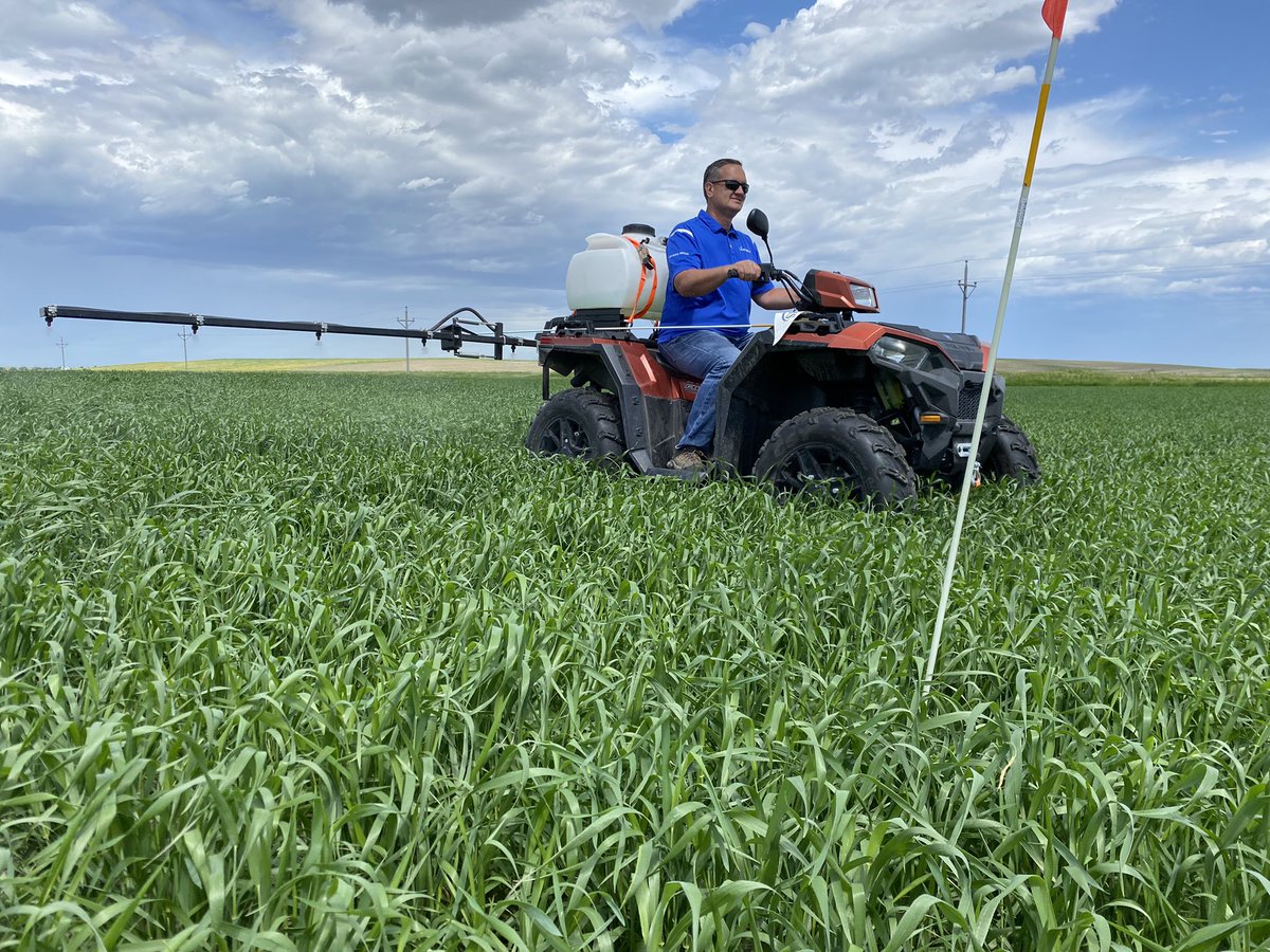 Tanner Skattum tweet media