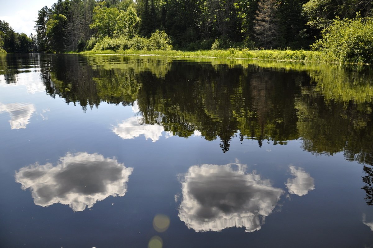OxtongueArts's tweet photo. As Tom Thomson and future members of the Group of 7 knew, Oxtongue Lake and its river are a lovely place any time of the year. #arts #Ontario @Algonquin_PP #PhotographyIsArt #TomThomson #Groupof7 #landscapepainting https://t.co/LlBfr0fAcL