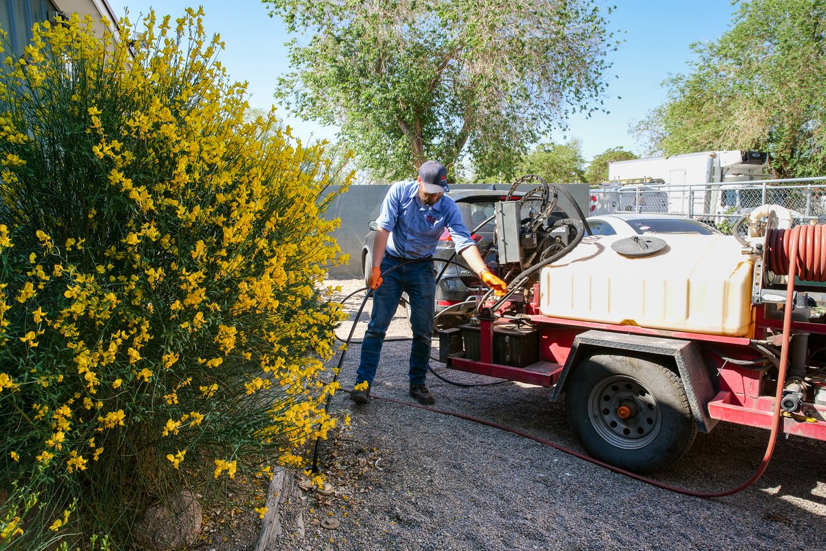 TLCPlumbing's tweet image. Erik working hard to unclog a drain line. 💪 Gotta have those drains clear. #Drains #DrainLine #Unclog #Rootering #TLCPlumbing #DrainTech #Plumbing #Plumber