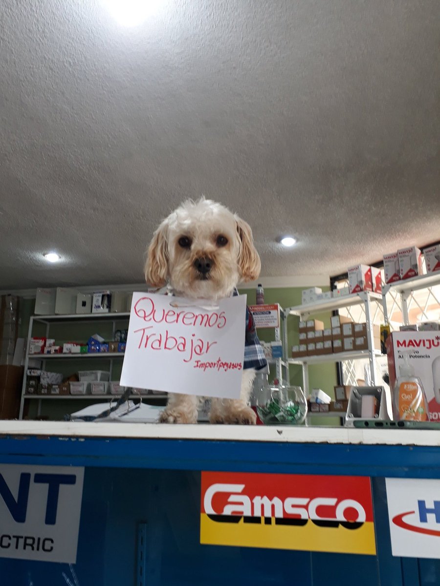 elymerac's tweet photo. #ParoNacional Queremos trabajar #QuitoMerecePaz https://t.co/4Kpr8M5Sda