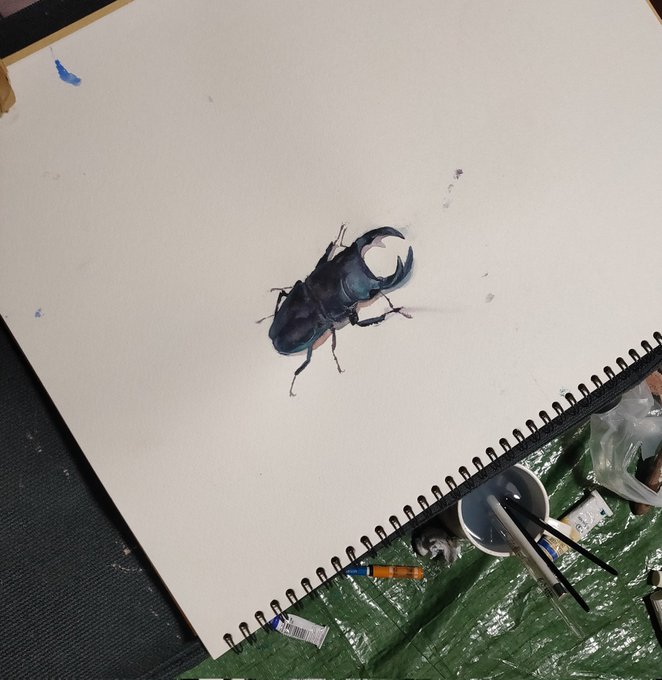 深夜の透明水彩ラクガキ
あまり書き込んでないけどオオクワガタにちゃんと見える気がする 