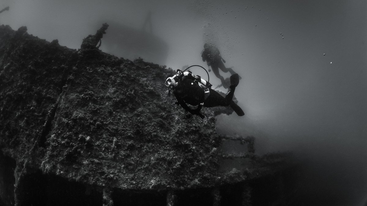 Here, off the coast of the Fleurieu Peninsula lies the wreck of the ex-HMAS Hobart.  She’s not that old but has made this spot hers as if she had always been here.

#Ex-hmashobart #wreck #shipwreck #scuba #diving  #blackandwhite #Ocean #deep #murky #southaustralia #wirrina