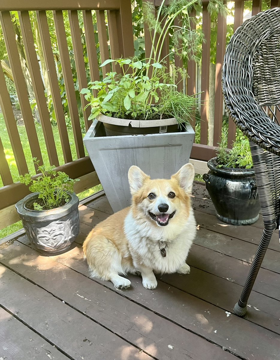 Meghan Huras tweet media