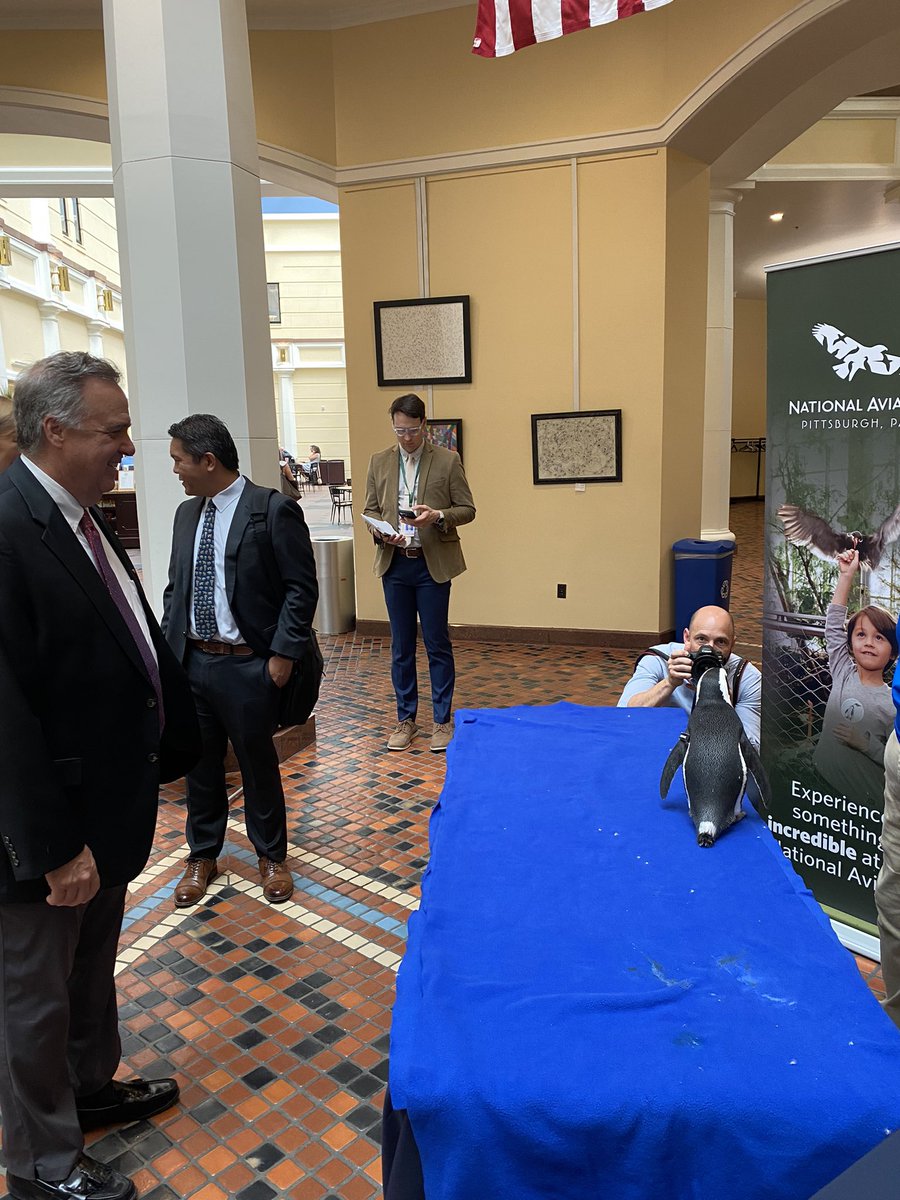LongNyquist's tweet photo. Rep. Jim Gregory checking out the penguins from the @National_Aviary https://t.co/2fD9UvMype